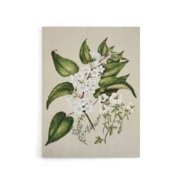 "Artery8 Hibiscus & Saltmarsh Ribbonwood Flowers Featon Canvas Wall Art Print in Beige - Size: W12"" x H16""" - thumbnail 1