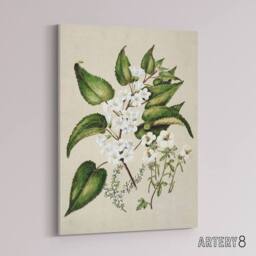 "Artery8 Hibiscus & Saltmarsh Ribbonwood Flowers Featon Canvas Wall Art Print in Beige - Size: W12"" x H16""" - thumbnail 2