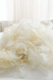 HomeSpace Direct Duck Feather & Down Duvet Quilt Hotel Quality 13.5 tog Winter in White - Size: Super King - thumbnail 6