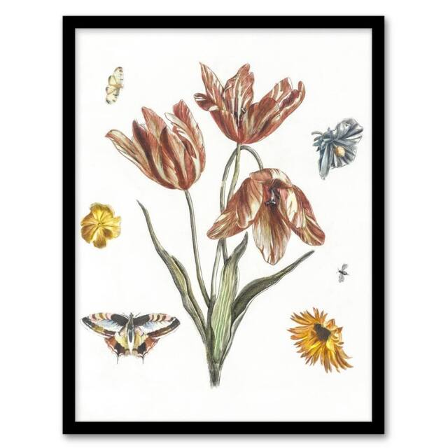 Artery8 Flowers Butterflies & A Fly Johan Teyler Framed Wall Art Print in White - Size: A4 - image 1