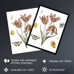 Artery8 Flowers Butterflies & A Fly Johan Teyler Framed Wall Art Print in White - Size: A4 - thumbnail 2
