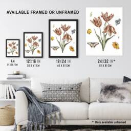 Artery8 Flowers Butterflies & A Fly Johan Teyler Framed Wall Art Print in White - Size: A4 - thumbnail 3