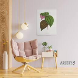 "Artery8 AF Lydon Benjamin Fawcett Bertolonia Guttata Leaves Canvas Art Print in White - Size: W12"" x H16""" - thumbnail 3
