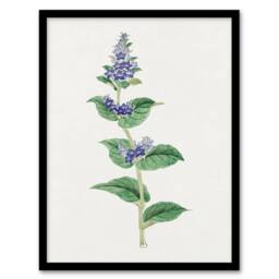 Artery8 Vintage Japan Botanical Framed Wall Art Print Gentian Flower in Pink - Size: A4 - thumbnail 1
