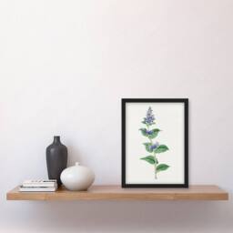 Artery8 Vintage Japan Botanical Framed Wall Art Print Gentian Flower in Pink - Size: A4 - thumbnail 2