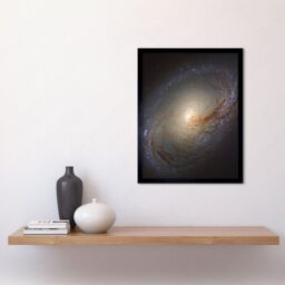 Artery8 Hubble Space Telescope Image NGC 3368 Orange Blue Galaxy Also Known As Messier 96 Starbirth Occurring Along Dark Dust Gas Filaments Spiral - thumbnail 2