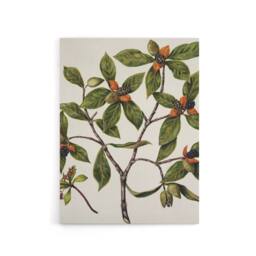 "Artery8 New Zealand Tawhiri Karo Plant Artwork Featon Canvas Wall Art Print in Beige - Size: W12"" x H16""" - thumbnail 1