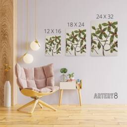 "Artery8 New Zealand Tawhiri Karo Plant Artwork Featon Canvas Wall Art Print in Beige - Size: W12"" x H16""" - thumbnail 4