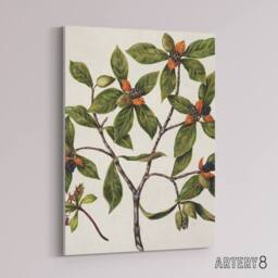 "Artery8 New Zealand Tawhiri Karo Plant Artwork Featon Canvas Wall Art Print in Beige - Size: W12"" x H16""" - thumbnail 2