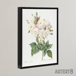 "Artery8 Noisette Rose Floral Redoute Vintage Black Framed Canvas Wall Art in White - Size: W18"" x H24""" - thumbnail 2