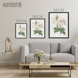 "Artery8 Noisette Rose Floral Redoute Vintage Black Framed Canvas Wall Art in White - Size: W18"" x H24""" - thumbnail 4