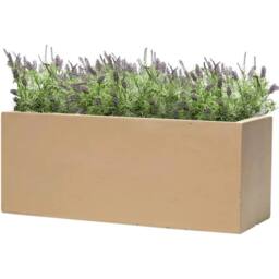 Primrose Fibrecotta Sand Rectangular Trough Planter 60cm Set of 2 in Yellow - thumbnail 6