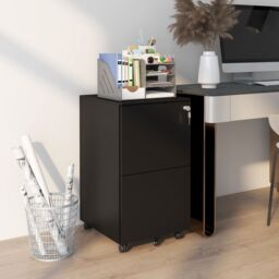 VINSETTO 2-Drawer Vertical Filing Cabinet w/ Removable Pencil Tray Lockable File Cabinet in Black
