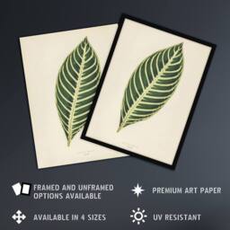Artery8 Vintage Botanical Tiger Plant Leaf Fawcett Framed Wall Art Print in Beige - Size: A4 - thumbnail 2