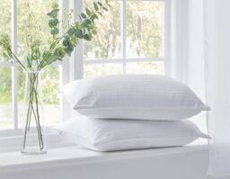 Early's of Witney 'Ultra Bounce' 4 Pack Pillows in White - thumbnail 2