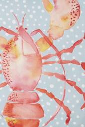 Fusion 'Lobster' Outdoor Water & UV Resistant Garden Filled Bench Cushion in Orange - Size: 43 cm x 43 cm - thumbnail 5