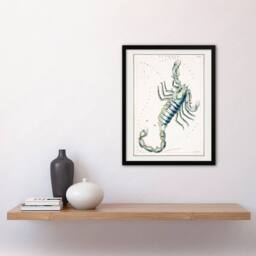 "Artery8 Astronomical Chart illustration of Scorpio Hall Framed Wall Art Print in White - Size: W12"" x H16""" - thumbnail 4