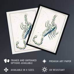 "Artery8 Astronomical Chart illustration of Scorpio Hall Framed Wall Art Print in White - Size: W12"" x H16""" - thumbnail 2