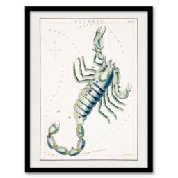 "Artery8 Astronomical Chart illustration of Scorpio Hall Framed Wall Art Print in White - Size: W12"" x H16""" - thumbnail 1