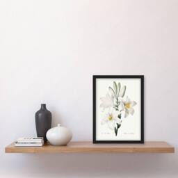 Artery8 White Lily Botanical Redoute Vintage Framed Wall Art Print - Size: A4 - thumbnail 4