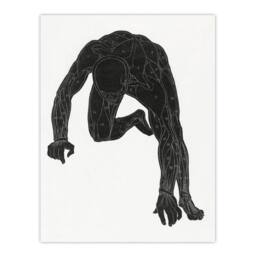"Artery8 Man muscles Anatomical silhouette study Stolk Wall Art Poster Print in White - Size: W12"" x H16""" - thumbnail 1