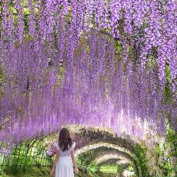 FLAVORA 12x Dark Purple Artificial Wisteria Hanging Silk Vine - Size: 0.6m2 - thumbnail 3