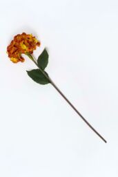 Homescapes Artificial Orange Hydrangea Stem, 81 cm - thumbnail 1