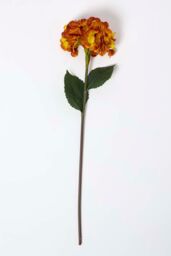Homescapes Artificial Orange Hydrangea Stem, 81 cm - thumbnail 2