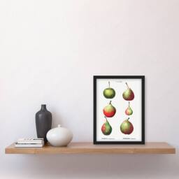 Artery8 Redoute Framed Wall Art Pear Fruit Varieties Vintage Illustration in White - Size: A4 - thumbnail 2