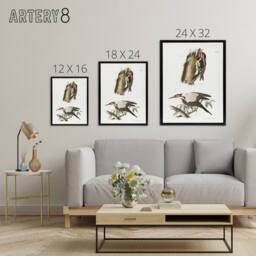 "Artery8 James De Kay Yellow Bellied & Crested Woodpecker Framed Canvas Art in White - Size: W12"" x H16""" - thumbnail 4