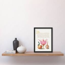 Artery8 Model Book of Calligraphy Framed Wall Art Pear Pink Tulip & Seashell in White - Size: A4 - thumbnail 2