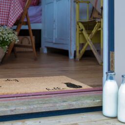 Artsy Mats Hello Bye Cats Doormat (60 x 40cm) in Brown - Size: 40 cm x 60 cm - thumbnail 4