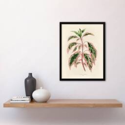 Artery8 Vintage Botanical Rose Mallow Fawcett Framed Wall Art Print in Beige - Size: A4 - thumbnail 2
