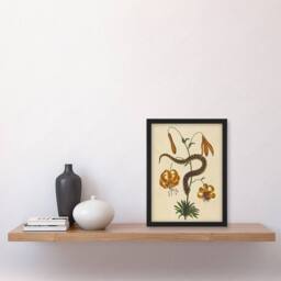 Artery8 Hog Nose Snake & Tiger Lily Mark Catesby Framed Wall Art Print in Beige - Size: A4 - thumbnail 2