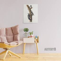 "Artery8 Red Cockaded Woodpecker Audubon Nature Canvas Wall Art in White - Size: W18"" x H24""" - thumbnail 3