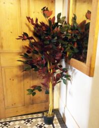 Leaf Artificial Ficus Tree Plant Capensia Ficus 120cm Realistic Faux Plants Botanik in Red - thumbnail 5