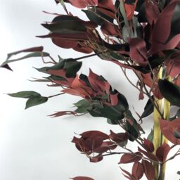 Leaf Artificial Ficus Tree Plant Capensia Ficus 120cm Realistic Faux Plants Botanik in Red - thumbnail 2