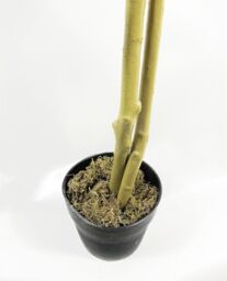 Leaf Artificial Ficus Tree Plant Capensia Ficus 120cm Realistic Faux Plants Botanik in Red - thumbnail 7