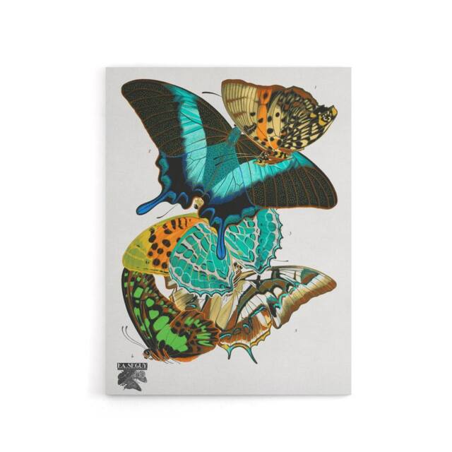 "Artery8 Vintage Colourful Butterflies Canvas Wall Art Print Eugene Seguy - Size: W18"" x H24""" - image 1
