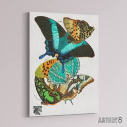 "Artery8 Vintage Colourful Butterflies Canvas Wall Art Print Eugene Seguy - Size: W18"" x H24""" - thumbnail 2