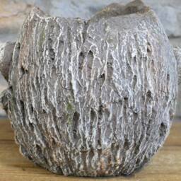 Gifts Direct 2 U Resin Monkey Head Planter - 'See No Evil' in Stone - thumbnail 4