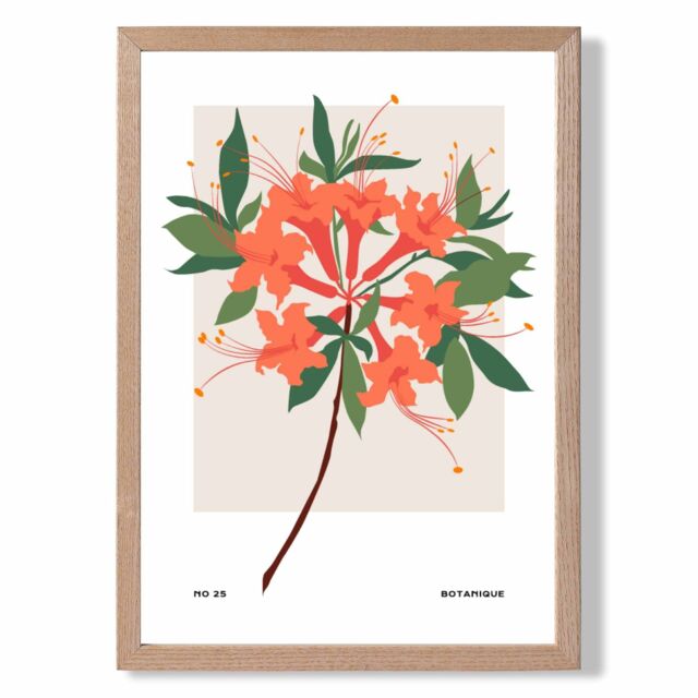 ARTZE Orange Firecracker Plant Flower Market Simplicity Framed Print SIZE: A2 with Oak Frame - Size: A4 - image 1