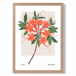 ARTZE Orange Firecracker Plant Flower Market Simplicity Framed Print SIZE: A2 with Oak Frame - Size: A4 - thumbnail 1