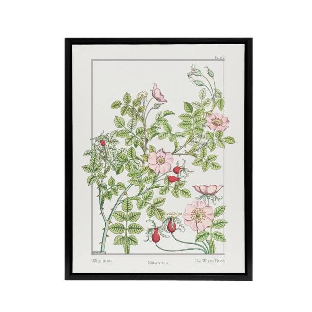 "Artery8 Wild Rose Flower Framed Canvas Wall Art Print Vintage Floral Verneuil in White - Size: W12"" x H16""" - image 1