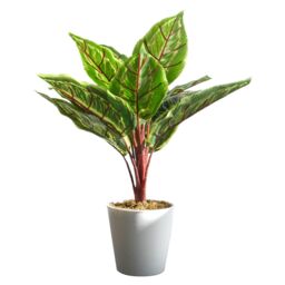 Leaf Potted Artificial Plant Realistic Calathea Veitchiane 38cm in Green - thumbnail 1
