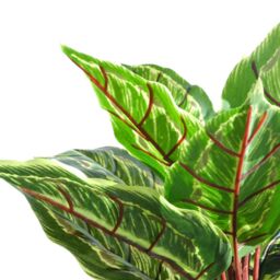 Leaf Potted Artificial Plant Realistic Calathea Veitchiane 38cm in Green - thumbnail 2