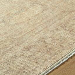 Livabliss Galey Alix Fetscher V-Vintage Brown Green Traditional Fringe Living Rug in Tan - Size: 150 cm x 230 cm - thumbnail 3