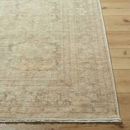 Livabliss Galey Alix Fetscher V-Vintage Brown Green Traditional Fringe Living Rug in Tan - Size: 150 cm x 230 cm - thumbnail 5