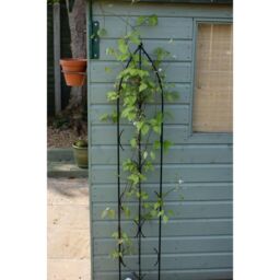 Poppyforge Triple Gothic Screen - Decorative Garden Screen, Plant Support in Black - thumbnail 2