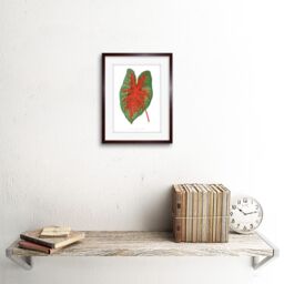 "Artery8 Wall Art Print Leaf Caladium Bicolor Spendens Art Framed 9x7 inch in Brown - Size: W7"" x H9""" - thumbnail 2